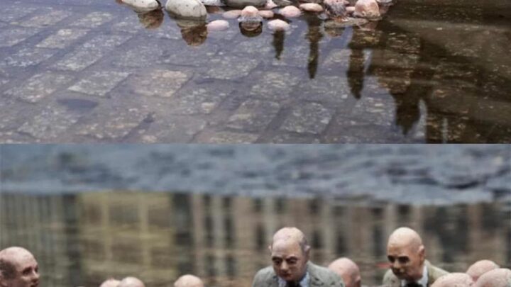 Cambiamento climatico